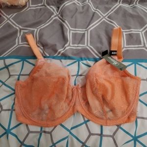 Paramour Bra Size 40H New